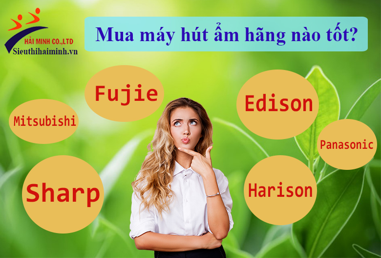 Mua máy hút ẩm hãng nào tốt?