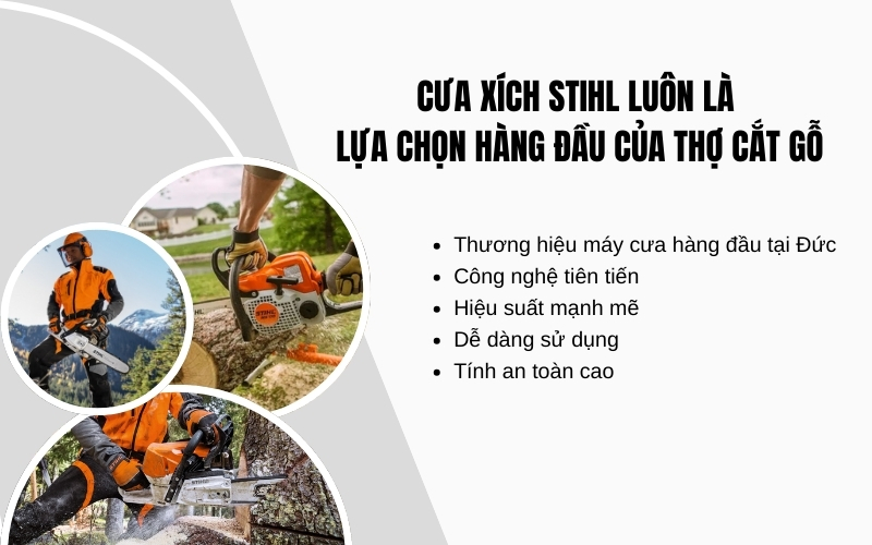 cưa xích Stihl luôn là lựa chọn hàng đầu của thợ cắt gỗ