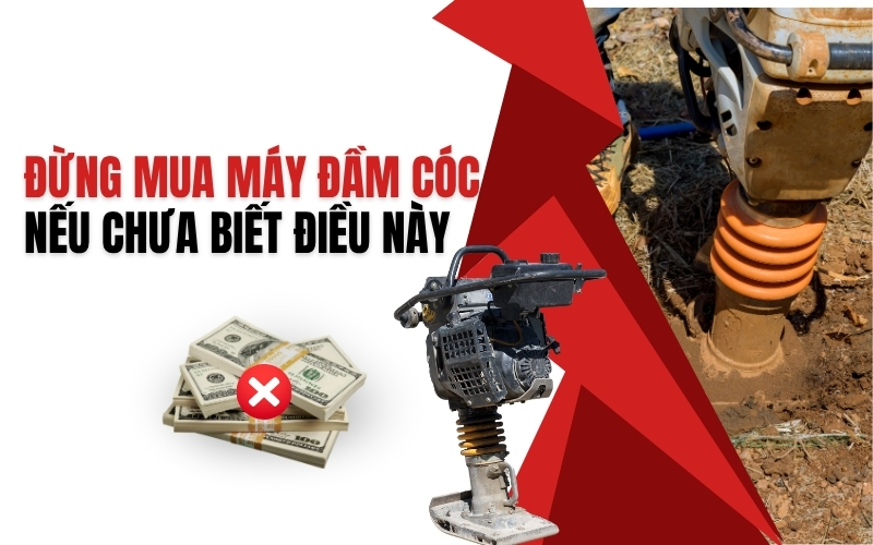 Đừng mua máy đầm cóc nếu chưa biết điều này