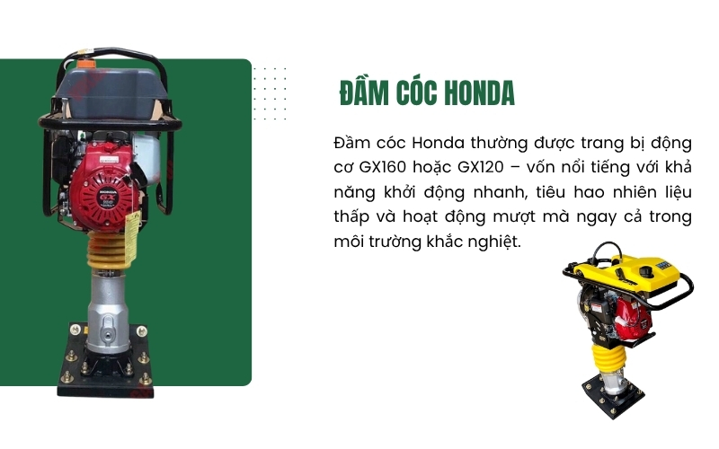  Đầm cóc Honda là thương hiệu ưa dùng tại Việt Nam 