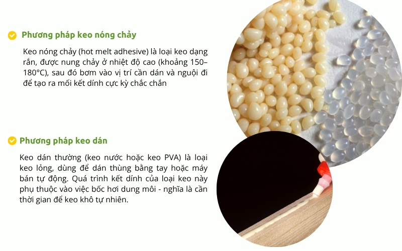 Tổng quan về hai phương pháp dán thùng phổ biến hiện nay