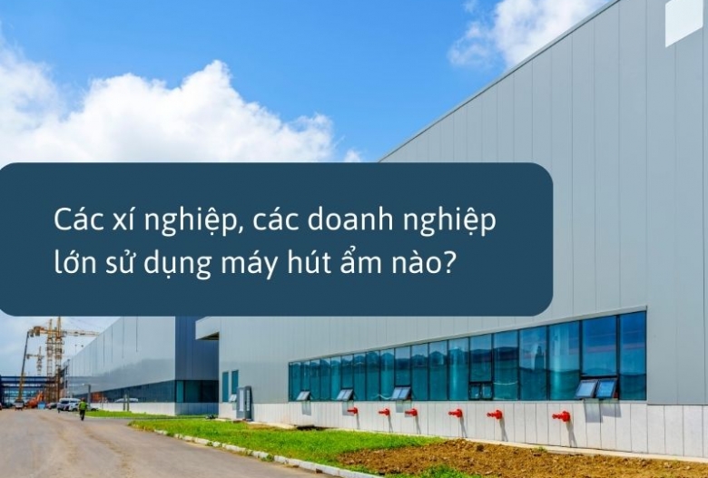 Các xí nghiệp, các doanh nghiệp lớn sử dụng máy hút ẩm nào?