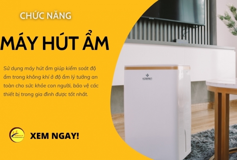 Giải Mã Chức Năng Nổi Bật Của Máy Hút Ẩm Gia Đình