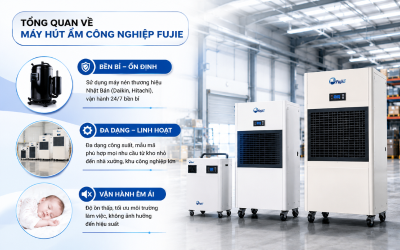 Tổng quan về máy hút ẩm công nghiệp FujiE