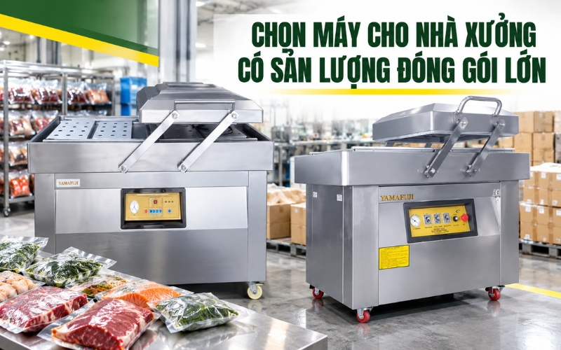 Chọn máy cho nhà xưởng có sản lượng đóng gói lớn