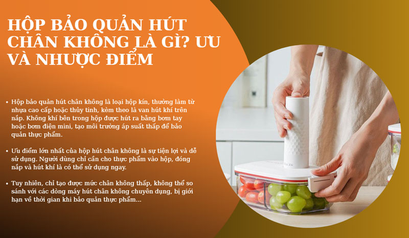 Hộp bảo quản hút chân không là gì? Ưu và nhược điểm Hộp bảo quản hút chân không là gì? Ưu và nhược điểm