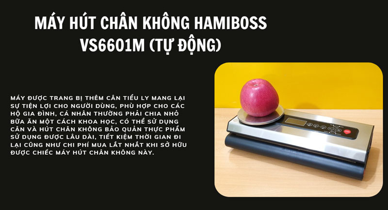 Máy hút chân không Hamiboss VS6601M (tự động)