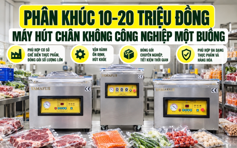 Phân khúc 10–20 triệu đồng – Máy hút chân không công nghiệp một buồng