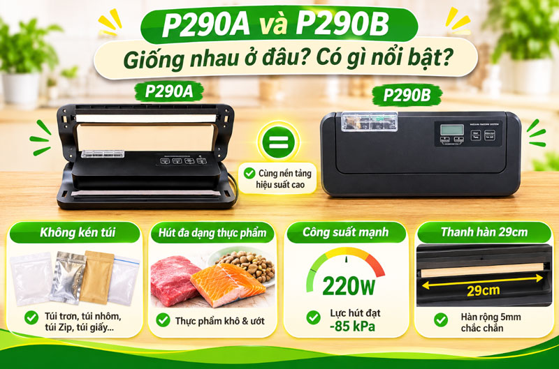 Điểm giống nhau giữa P290A Và P290B Điểm giống nhau giữa P290A Và P290B
