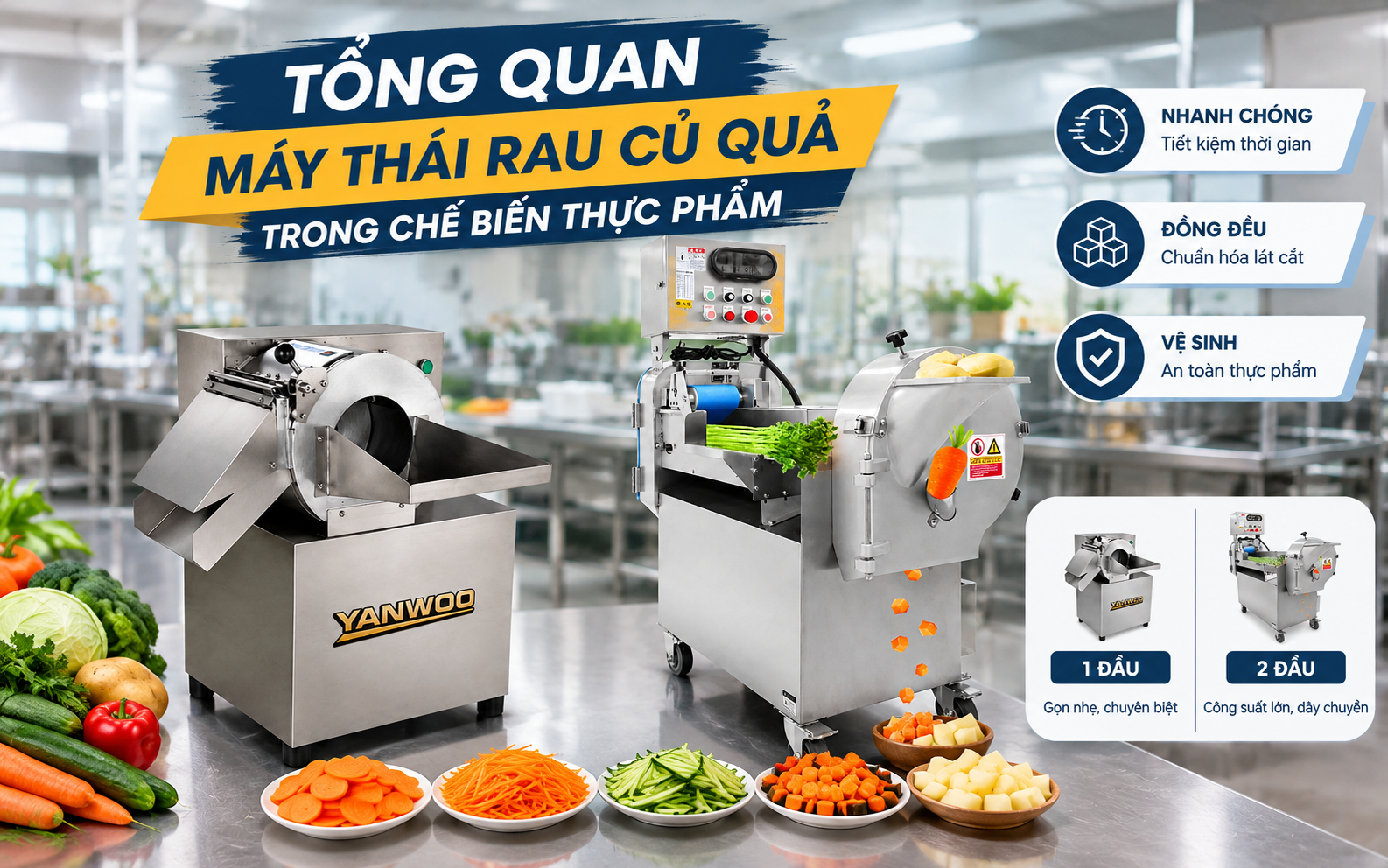 Tổng quan máy thái rau củ quả trong chế biến thực phẩm