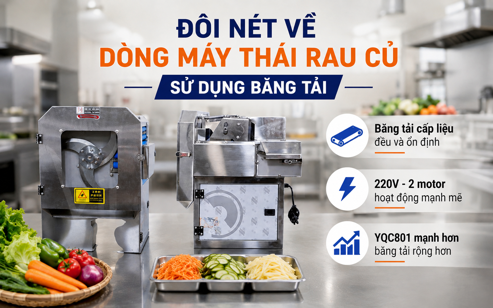 Đôi nét về dòng máy thái rau củ sử dụng băng tải