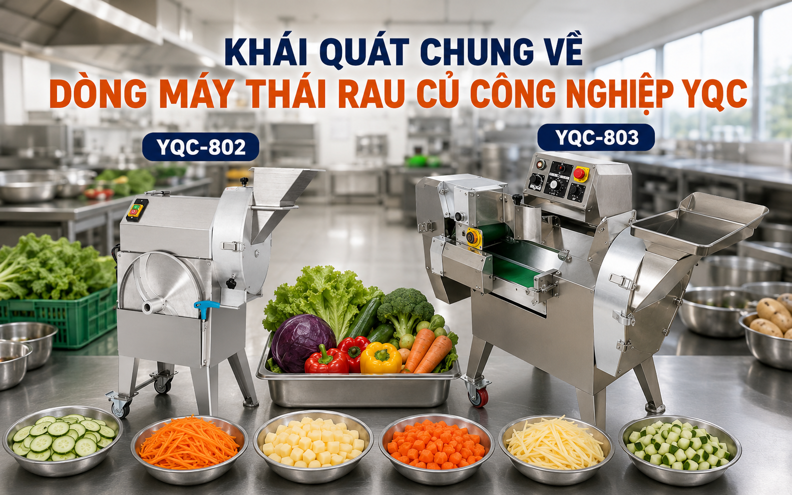  Khái quát chung về dòng máy thái rau củ công nghiệp YQC