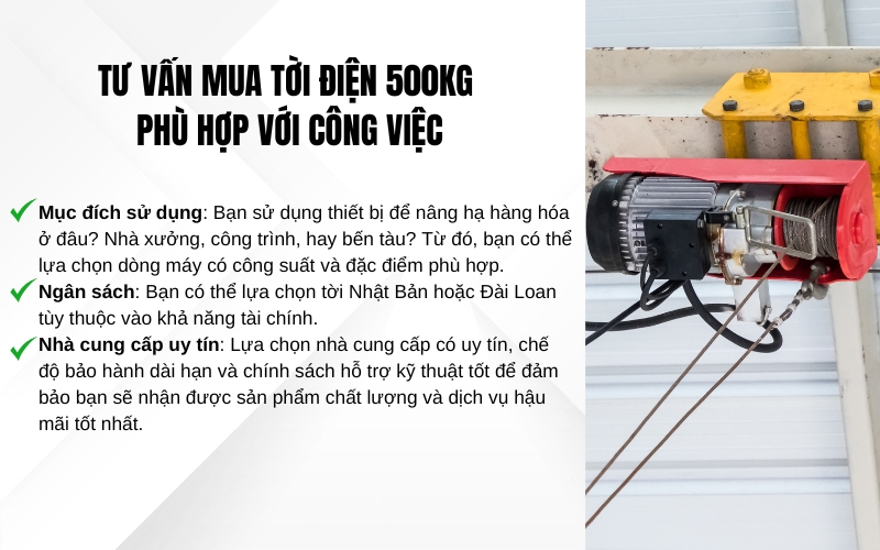 Tư vấn mua tời điện 500kg phù hợp với công việc