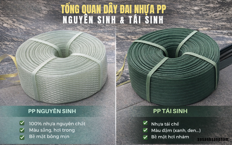 Tổng quan dây đai nhựa PP nguyên sinh và tái sinh