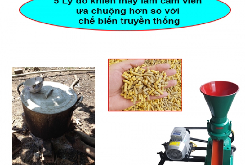 5 Lý do khiến máy làm cám viên ưa chuộng hơn so với chế biến truyền thống