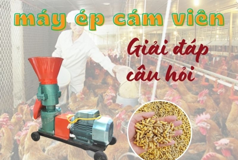 Giải đáp những câu hỏi thường gặp về máy ép cám viên