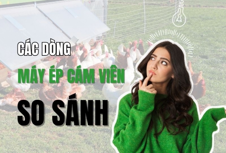 So sánh các loại máy ép cám viên và lựa chọn máy phù hợp