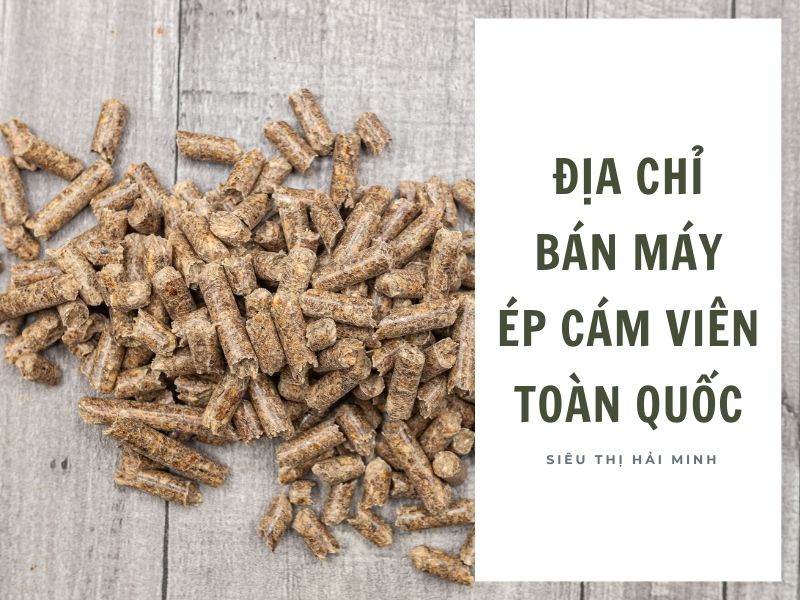 Địa chỉ bán máy ép cám viên trên toàn quốc