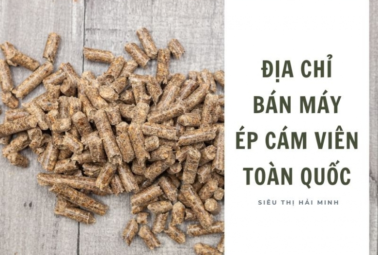 Địa chỉ bán máy ép cám viên trên toàn quốc