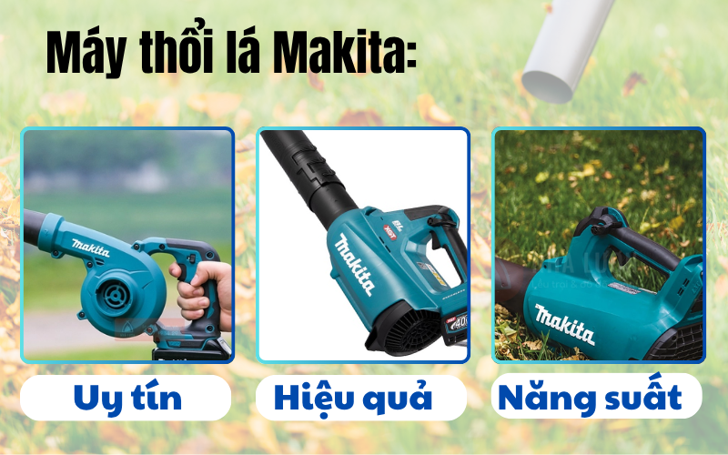 Máy thổi lá Makita hay Stihl? So tài hai “ông lớn” dòng chạy pin!
