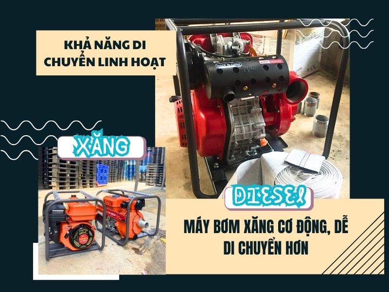 Khả năng di chuyển linh hoạt