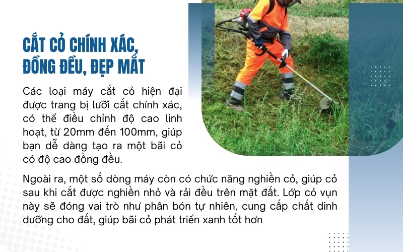Cắt cỏ chính xác, đồng đều, đẹp mắt