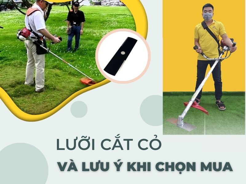 Lưỡi cắt cỏ và những lưu ý khi chọn mua?