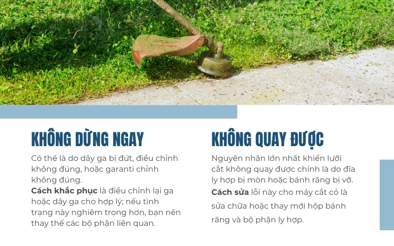 Lưỡi cắt của máy gặp vấn đề