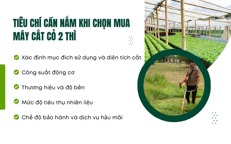 Tiêu chí cần nắm khi chọn mua máy cắt cỏ 2 thì