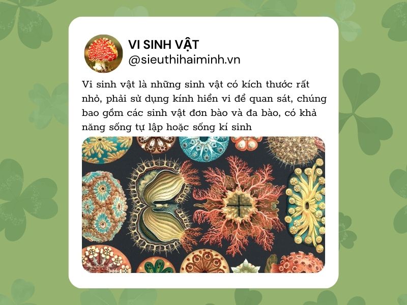 Ảnh hưởng của độ mặn đến vi sinh vật