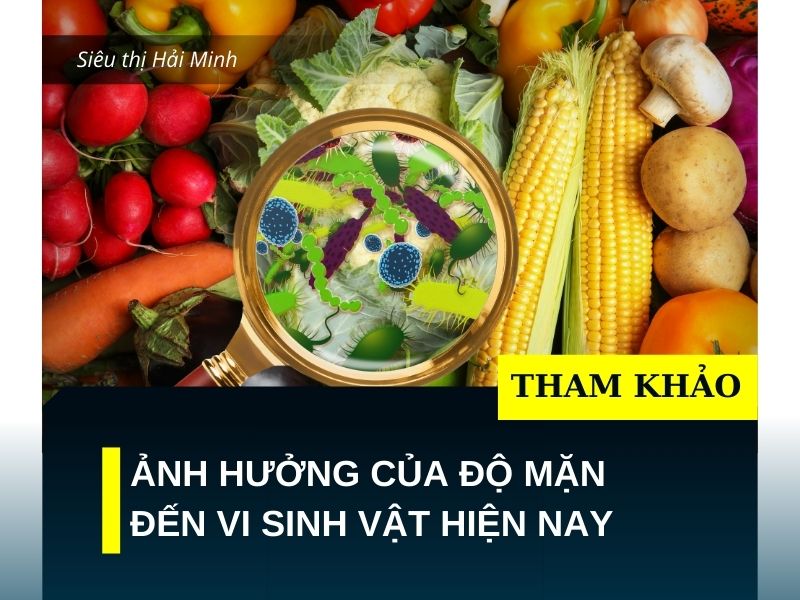 Ảnh hưởng của độ mặn đến vi sinh vật