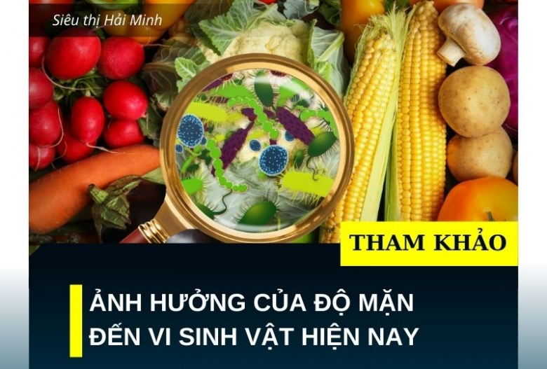 Ảnh hưởng của độ mặn đến vi sinh vật