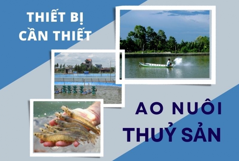 Các thiết bị cần thiết cho ao nuôi thuỷ sản