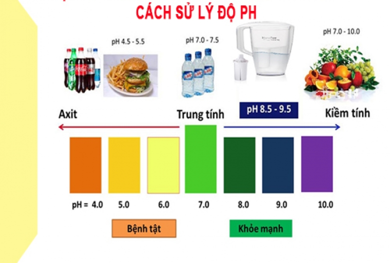 Tại Sao Phải Biết Chỉ Số Ph Trong Nước? Cách Sử Lý Độ Ph