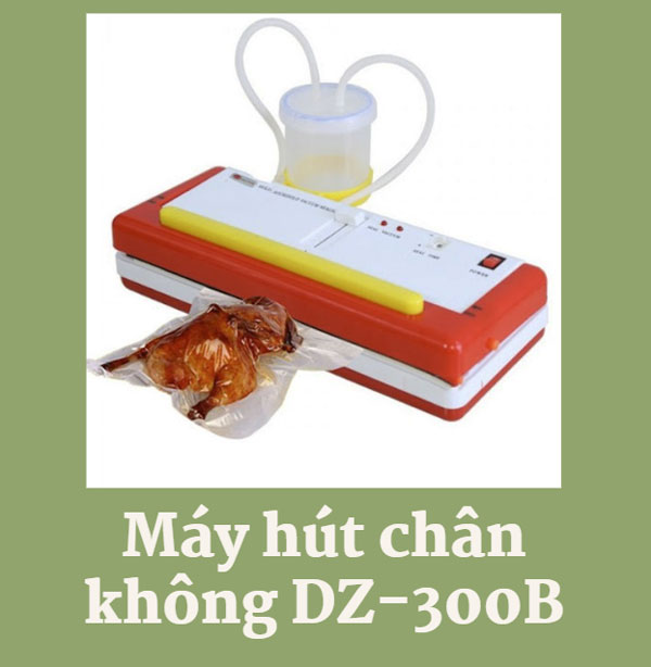 Máy hút chân không DZ-300B