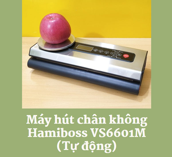 Máy hút chân không Hamiboss VS6601M (Tự động)